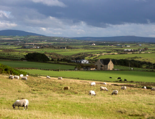 Ireland charged with protecting environmental rights, UN expert says