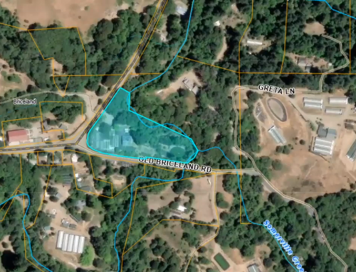 Planning Commission Backs Briceland Cannabis Nursery With Zoning Change