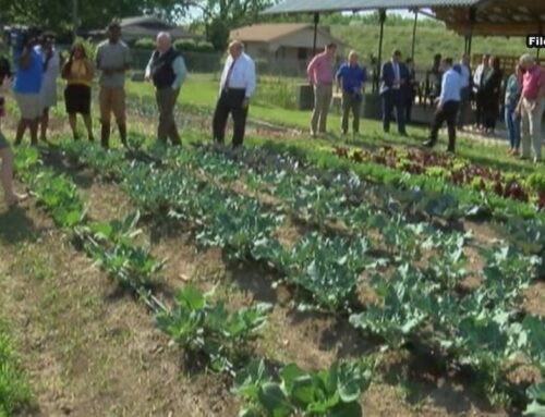 City of Birmingham, Jones Valley Teaching Farm investing in urban farmers