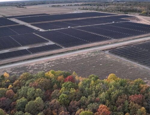 Meta Inks Solar Energy Purchase Agreement with Zelestra in Texas