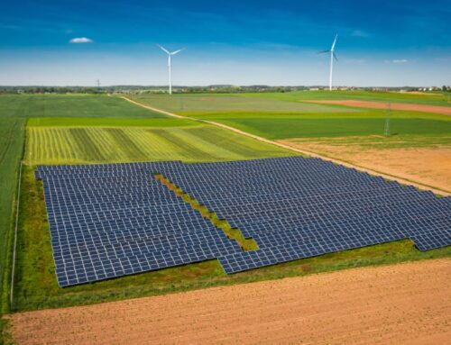 NLCIL, NALCO sign thermal and renewable energy development deal