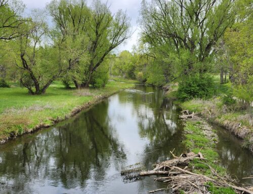 Ban on plastic-pellets discharge up first on environmental-bill debates | The Sum and Subs