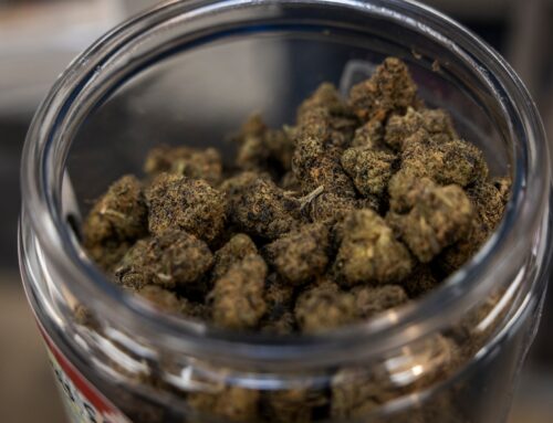 Outlook 2026: Social consumption poised to bring change to Mass. cannabis industry