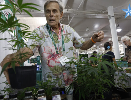 People attend 2026 Hawaii Cannabis Expo in Honolulu