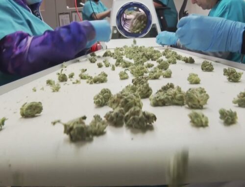 Beshear proposes adding 16 conditions to Kentucky medical cannabis program