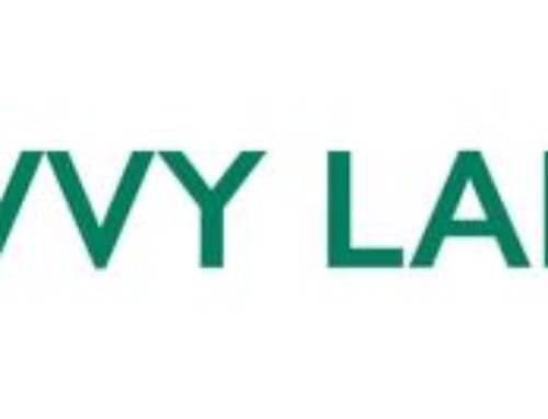 Savvy Ladies January Insights Signal Growing Momentum and a Powerful Opportunity to Accele