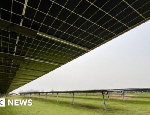 Residents welcome decision to scrap Jersey solar farm plan