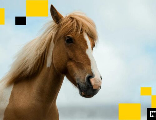 Here is why ETH’s ‘brutal stumble’ looks exactly like the start of the last bull run: Asia