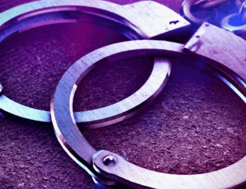 Psilocybin mushrooms, cannabis seized during Troy traffic stop, police say