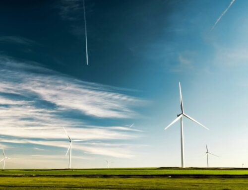 Renewable Energy Use Surges Globally and in U.S.