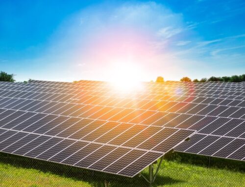 SilverBlue Plans MX$500M Renewable Energy Investment in Mexico