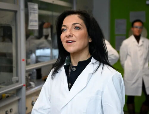 Germany to reform renewables expansion to make sure grid can keep up