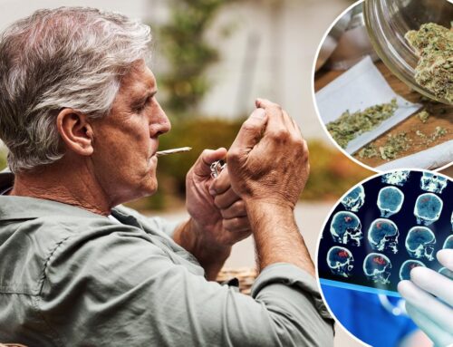 Researchers ‘surprised’ by the brain benefits of cannabis usage in…