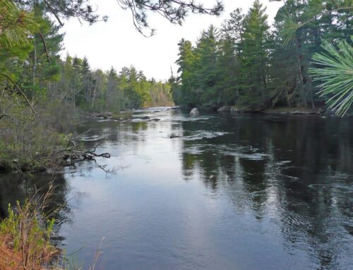 Walz signs executive order to make environmental permit process more efficient