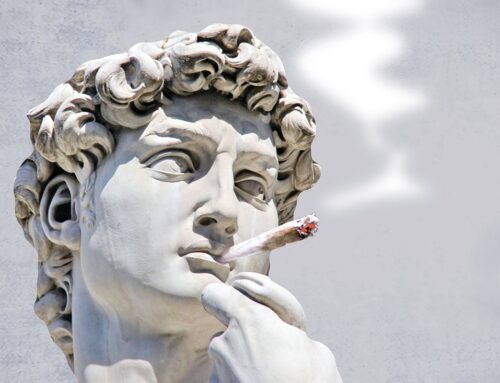 Florida’s Cannabis Landscape Is Growing Like a Weed