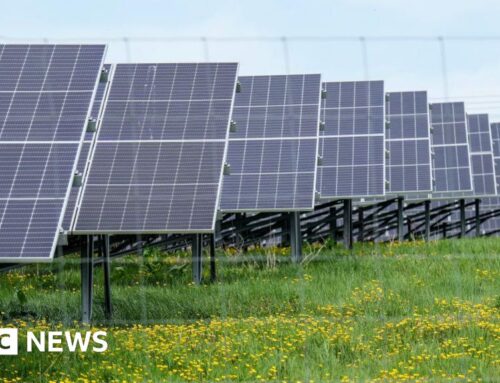 More solar farms on the way after record renewables auction