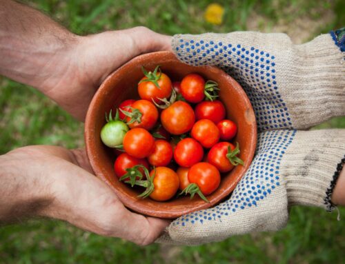 People act more helpfully in poor environments than rich ones, research reveals