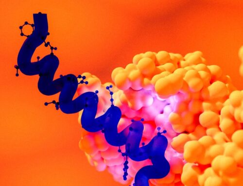 GLP-1s Are an Environmental Catastrophe