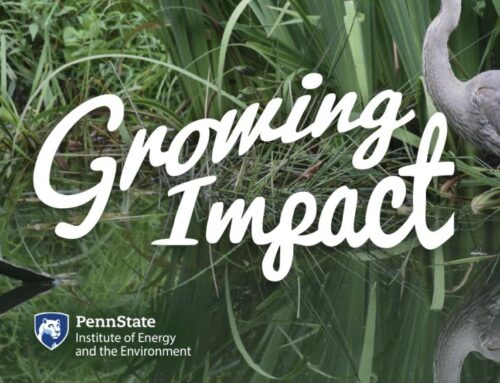 ‘Growing Impact’ podcast: How tidal marshes trap microplastics