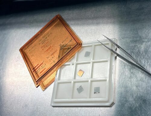 Humidity-resistant hydrogen sensor can improve safety in large-scale clean energy