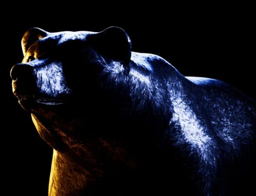 After Crashing 22% in 7 Days, Is Bitcoin Still a Buy?