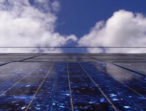 Indian renewables platform Radiance gets USD-100m equity infusion