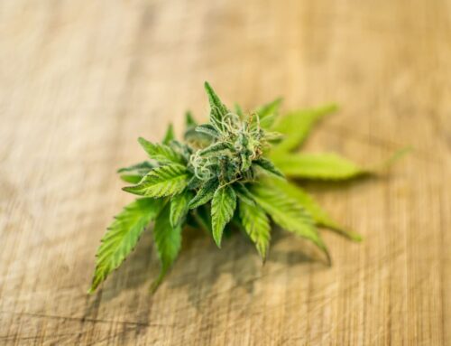 Nebraska Governor Accepts Applications For Medical Cannabis Commission Opening Following C