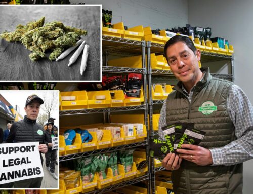 Military vet claims NY cannabis regulators are threatening his pot…