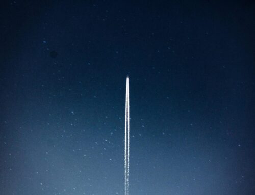 Reproduction in space, an environment hostile to human biology