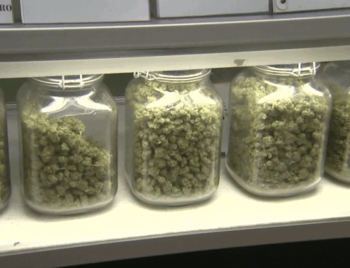 Nevada’s illegal cannabis market remains resilient amid lower dispensary sales