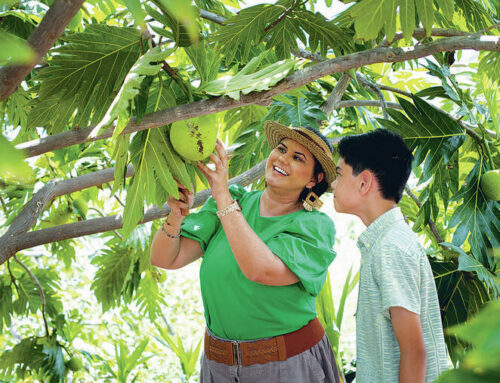 Environmental leader looks for ways to aid community with climate change