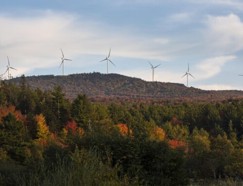 Orleans County town fights industrial solar project