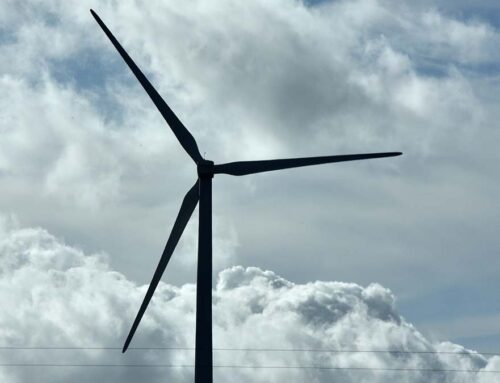 Scholar predicted Trump attacks on renewable energy, but says the transition is still aliv