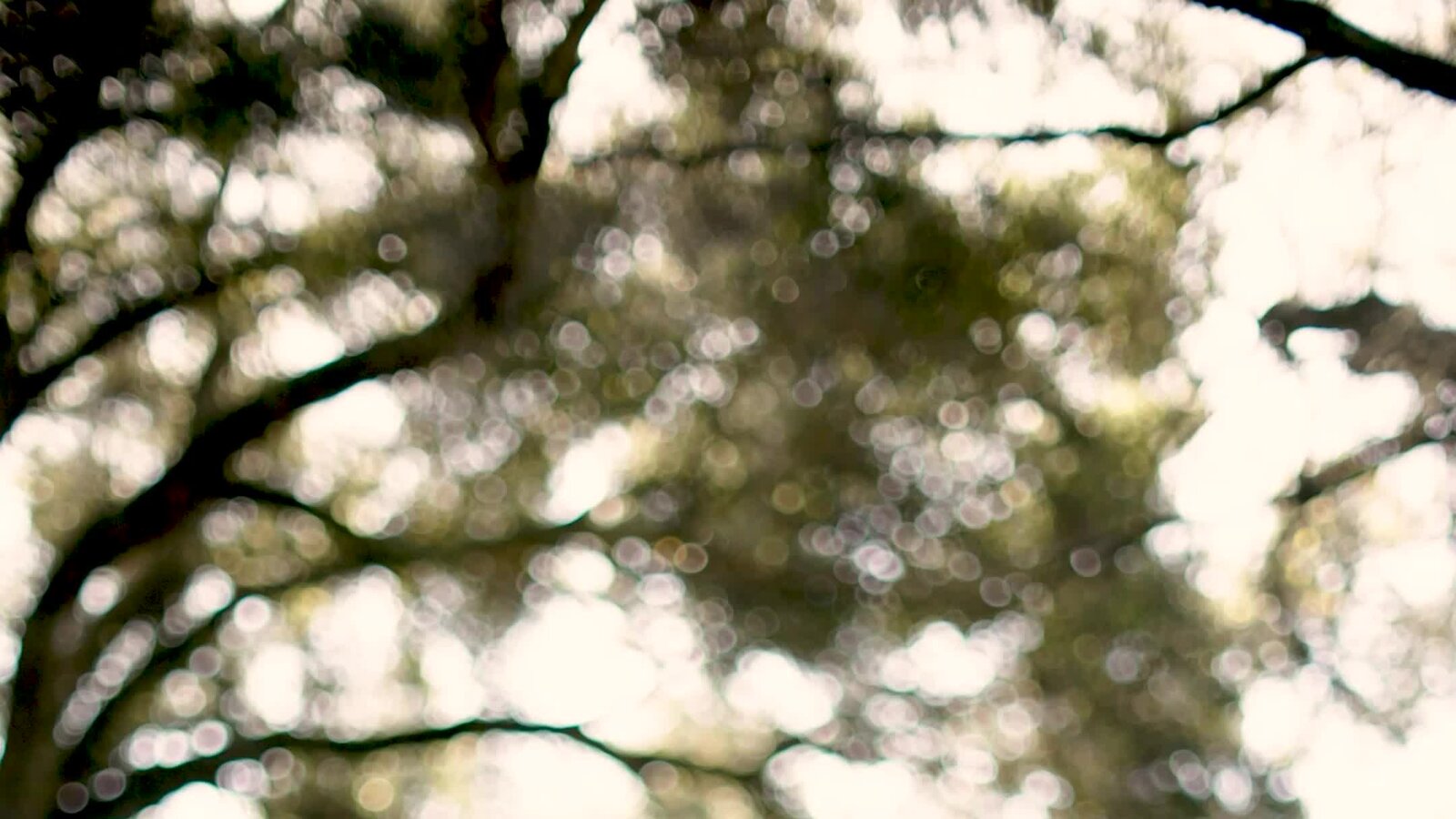 Sorry, Mom. You’re Chatting With an A.I. Agent, Not Your Son.