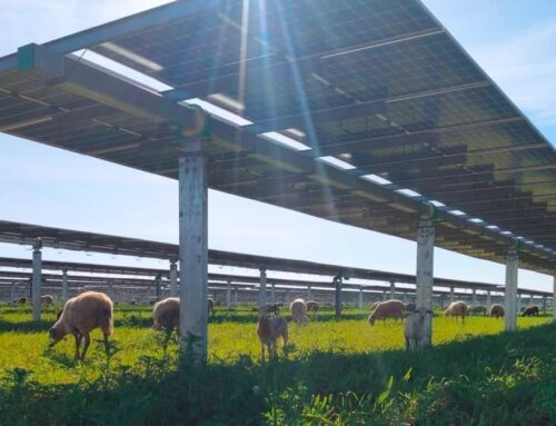 Middle East War Reignites the Energy Transition