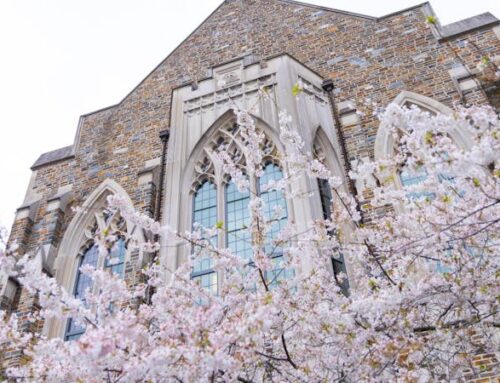 Nicholas and Divinity Schools launch joint degree program blending environment and theology