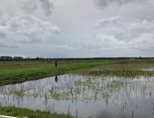 England should give over 7% of land to nature and renewables to meet environmental targets, data shows
