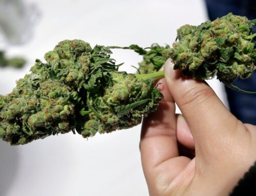 Opinion | Should government solve cannabis industry’s debt crisis?