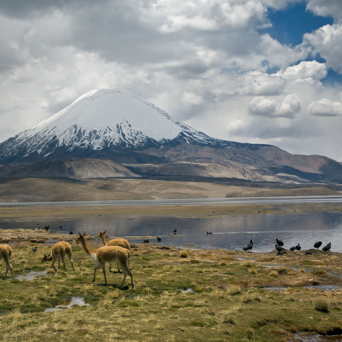 ‘Kast is more like Trump’: Chile’s environmentalists prepare to do battle for the country’s future