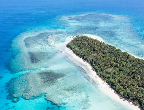 Tonga PM welcomes US deal to explore deep-sea minerals amid environmental concerns