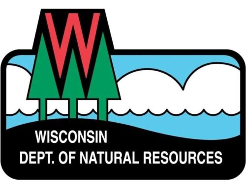 Wisconsin DNR: Leave young wild animals alone this spring