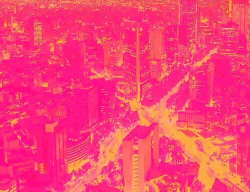 DSGR Q4 Deep Dive: Margin Pressures and Strategic Investments Dominate Year-End Results