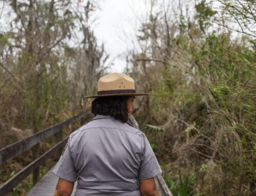 This Louisiana national park is undergoing a major renovation to protect its paths from rising seas