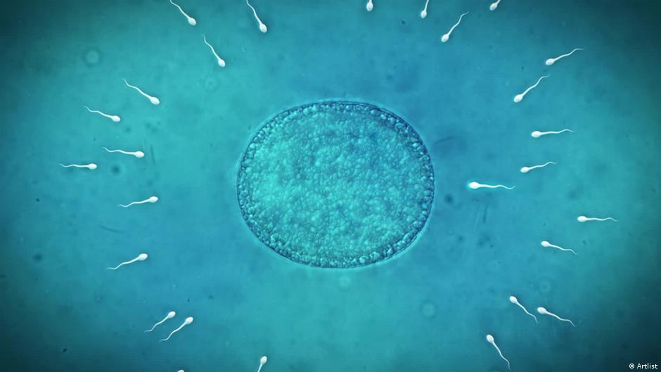 Male infertility – is environment playing a role?