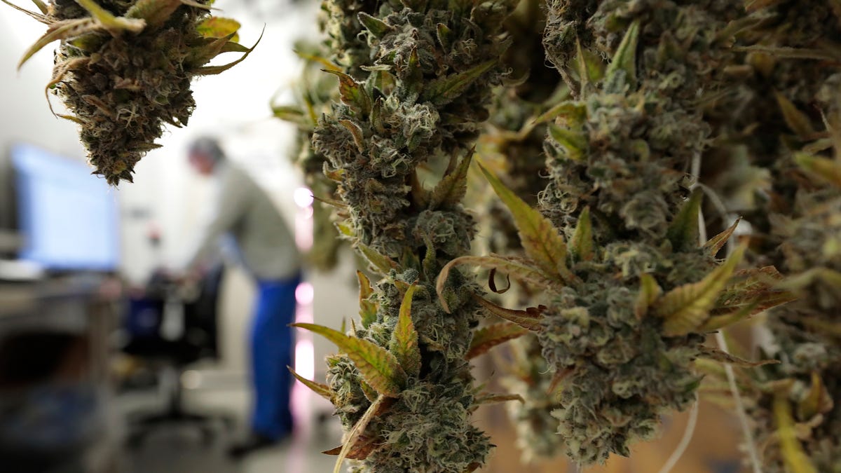 Will cannabis ‘lounges’ come to New Bedford? What we know.