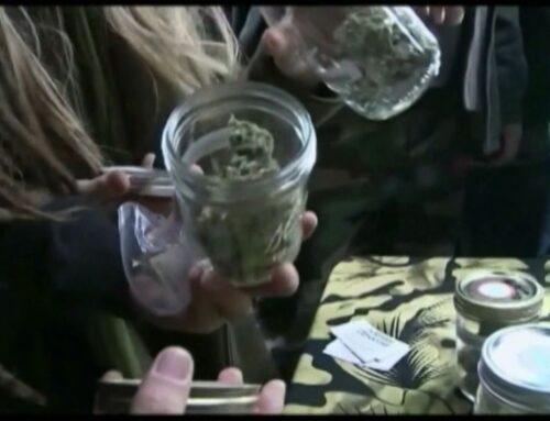 Retail cannabis market nearly finalized in the Commonwealth