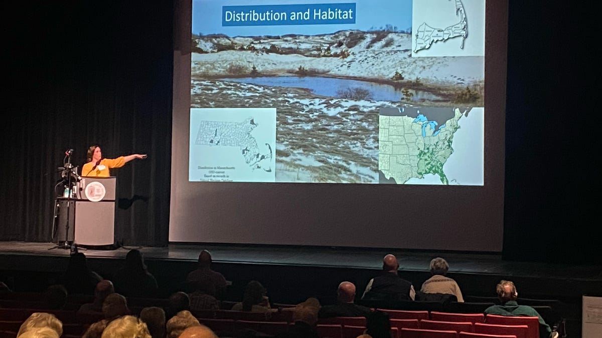 Cape Cod Natural History Conference to spotlight resilience