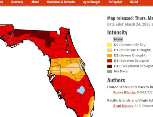 Brevard drought worsens as El Niño transition raises fire risk