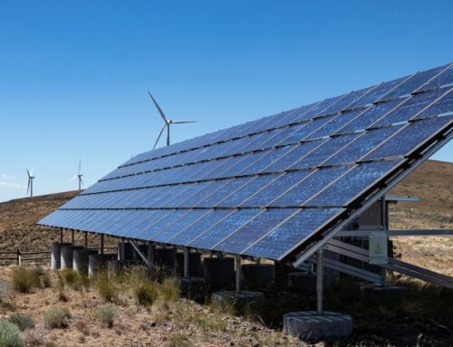 Why Texas Is Outpacing New York in Renewable Energy Development