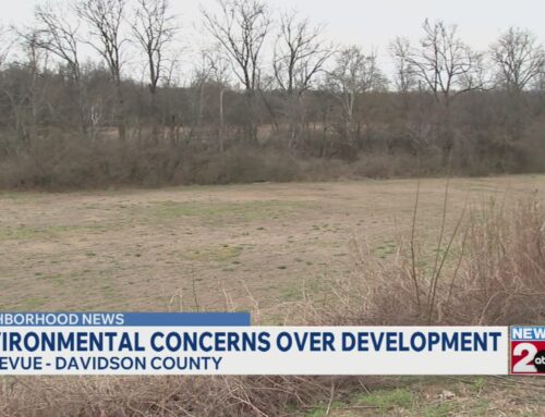 Development stirs environmental concerns in Bellevue